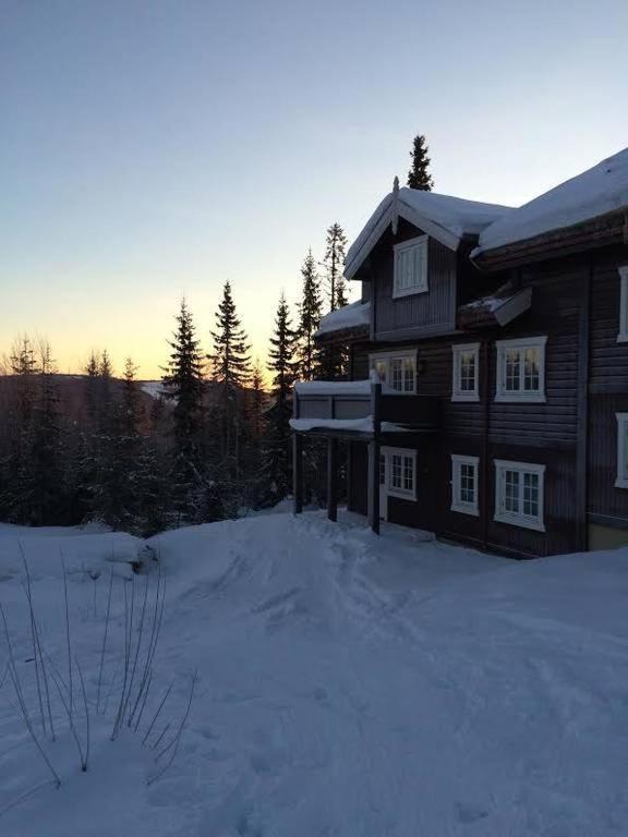 Flat In Trysil Ski In Ski Out And Sauna Dış mekan fotoğraf
